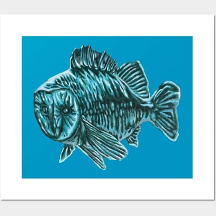 Owl Fish Posters and Art